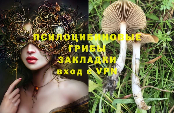 дживик Богданович