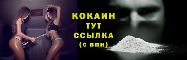дживик Богданович