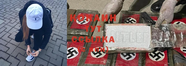 дживик Богданович