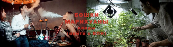 дживик Богданович