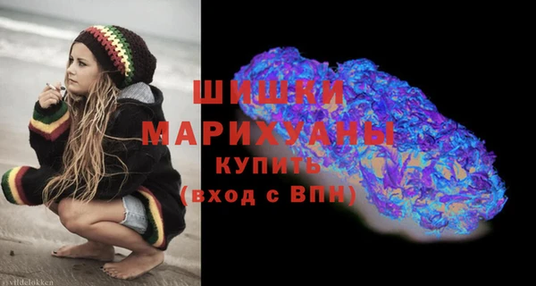 mdpv Богородицк