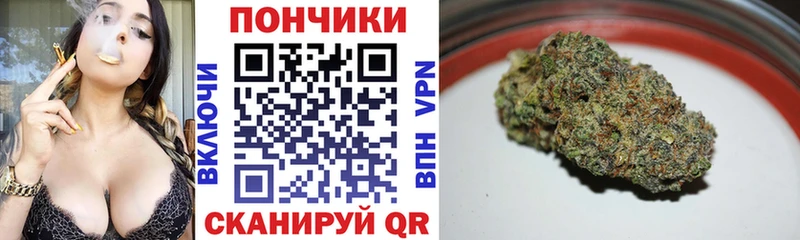Бошки Шишки THC 21% Клин